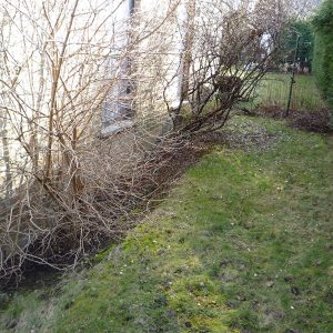 Terrasse-Rocourt-5